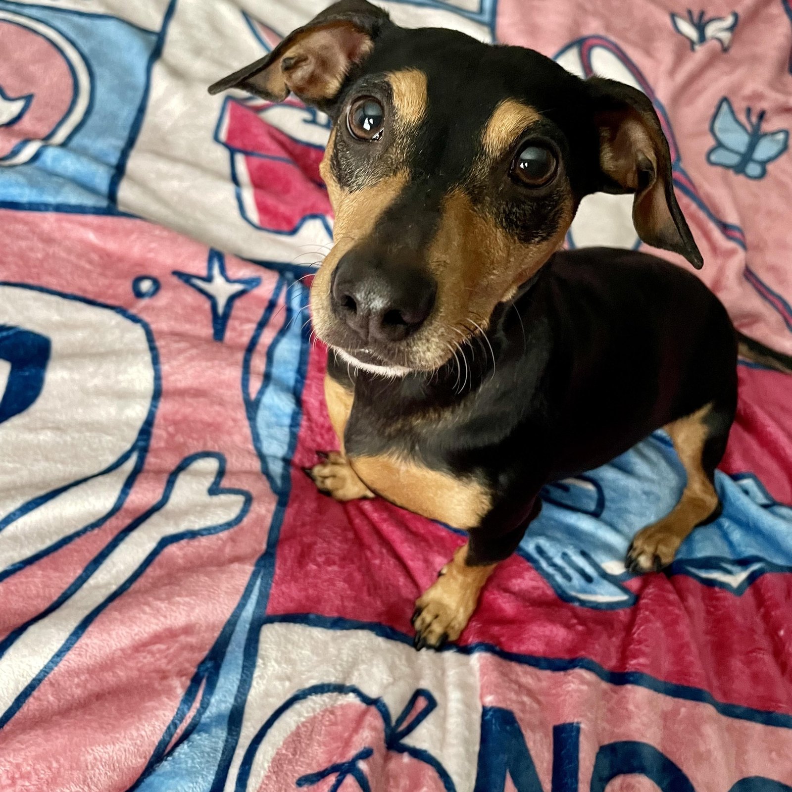 Animal Crossing New Horizons Plush Blanket | Lydia Perez Artist